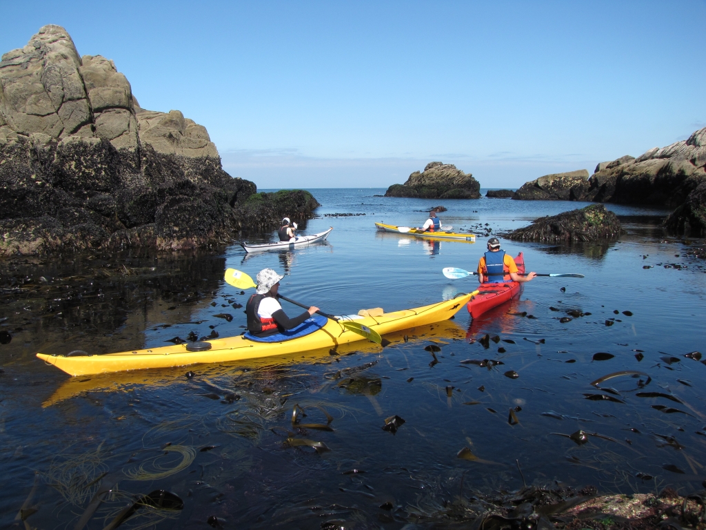 kayak bretagne morbihan quiberon sillages (5)