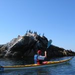 pétole-glassy-kayak-carnac-quiberon-morbihan-bretagne-mer_decouverte-milieu-marin-nature-4