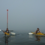 kayak-brouillard-quiberon10