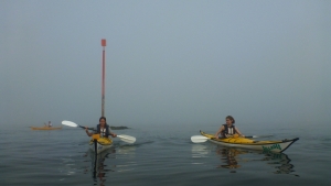 carnac-quiberon-morbihan-bretagne-kayak-brouillard-quiberon-10