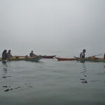 kayak-brouillard-quiberon3