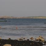 ile_de_Téviec-quiberon-carnac-morbihan