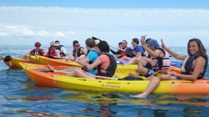 Prestations-kayak-ouverts-quiberon-morbihan-bretagne-groupes-amis