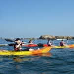 kayak-bretagne-morbihan-quiberon-carnac-comité-entreprise-7