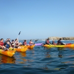 comites-entreprises-kayak-bretagne-morbihan-quiberon-carnac