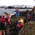 stages-kayak-enfants-bretagne-morbihan-quiberon-carnac-peche-a-pied