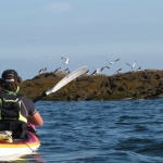 SILLAGES-Kayak-Stand-up-paddle-Quiberon-morbihan-bretagne-23