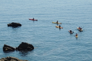 First experience birds-sea-kayak-family-quiberon-morbihan-brittany-canoe-nature-cote-sauvage