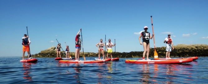 Learn how to stand up paddle board with Sillages