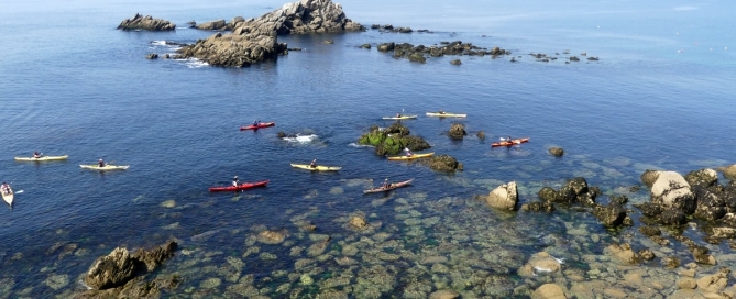 Kayak sillages quiberon morbihan bretagne