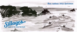 carte cadeau kayak Bretagne morbihan quiberon Carnac la trinité stage détente